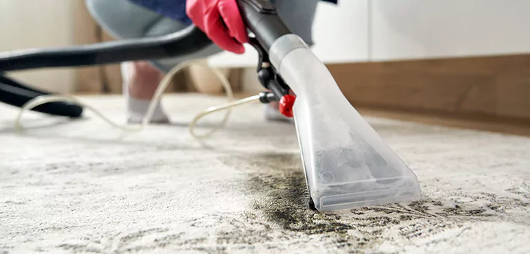 Why Blackpool Home Owners Choose Us for Expert Rug Cleaning Services
