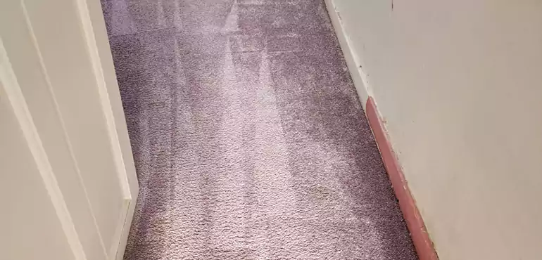 Why Blackpool Home Owners Choose Us for Expert Stain Protection Services