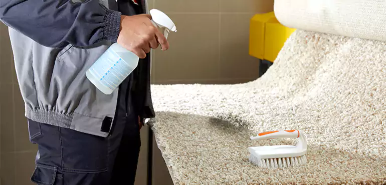 Why Blackpool Home Owners Choose Us for Expert Stain Removal Services